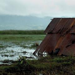 薄霧微光 - 3yr5DBpnonVA14iOc4qkSxs5K8X.jpg