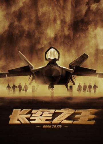 长空之王