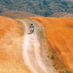 随风而逝 - eUYrlCKF2JPKOBmW33U5yKW9VA0.jpg