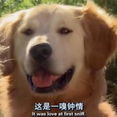 妙狗牵手圣诞节 - p1604324221041291383.jpg