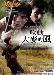 风吹麦浪