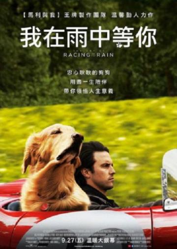 我在雨中等你