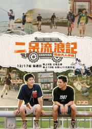 二呆流浪记之完全大人手册