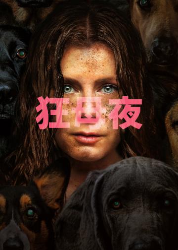 夜母