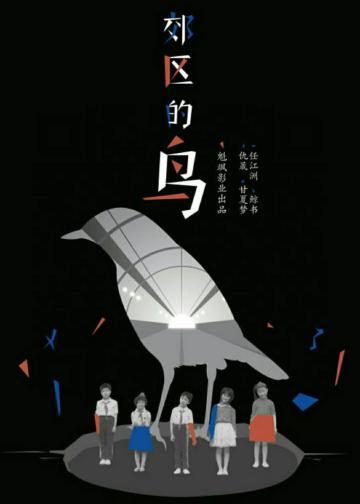 郊区的鸟