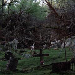 宠物坟场 - 3yoFETmp7bjGUjXBRcqv2E4otsm.jpg