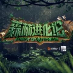 森林进化论 第二季 - p1755888919387574564.jpg