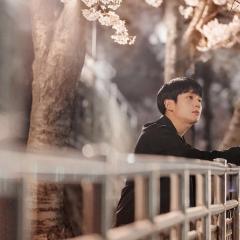 春夜 - yeVSvmzJNo33PGQqHNKKIxljOgz.jpg
