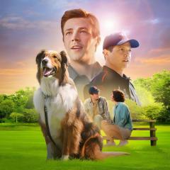 义犬救主 - zQG1FYDqoWo2hYhE5GVZ1yrWSfh.jpg