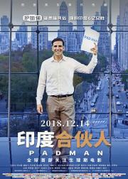 印度合伙人