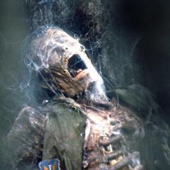 天外魔蛛 - uv43MjGjNMMb60e46Nul0daID4F.jpg