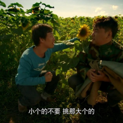 奔驰的大葱 - d7f7d52e11de5a3f.png