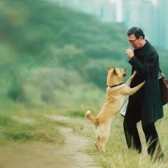 忠犬八公 - sptxlzXJA1t1oWrtAv3t88cKkB2.jpg