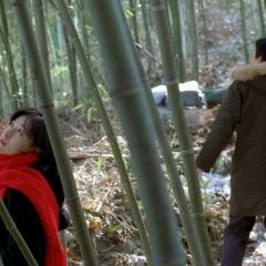 春逝 - wEbRdmmZSd60gxxRcTdqtsmmNmG.jpg