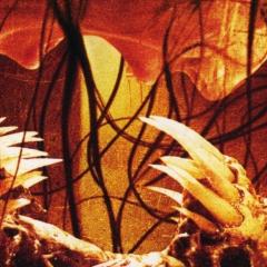 兽餐 - gVlXVTfLWWh5raSrDZnKaU5yrIW.jpg