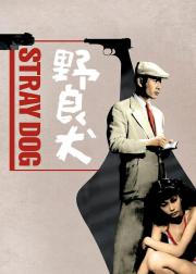 野良犬