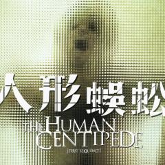 人体蜈蚣 - d55cWvn2WWmZXXCNFZItfzuIwIH.jpg