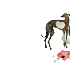 爱的猎犬 - korYTFmCoGQRQcGw0RX3NAT0kBH.jpg
