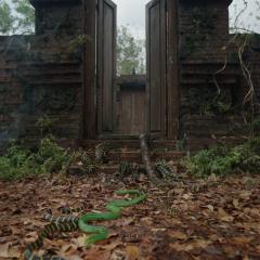 鬼舞村：诅咒起源 - y1546ozXuvuK48vbeRyR6BzxmHL.jpg