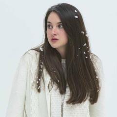 暴风雪中的白鸟 - ivhfD3sL2a3oqCSmoxCCZwW4lJ8.jpg