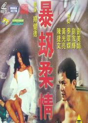 暴劫柔情