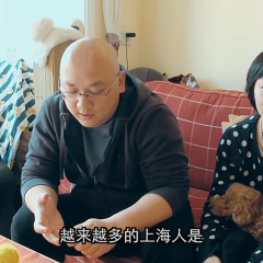 飞鱼秀 - 9e61198473d44875.png