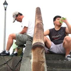 築巢人 - p1606451221468066675.jpg