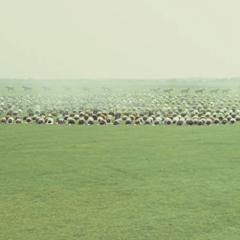 厄勒克特拉，我的爱 - x4SvJMEFHsikD3ninWs97RKrZqY.jpg