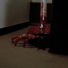 绝命小魔星 - 8TtrjyAMo9DOKURU808N3U7ghtw.jpg