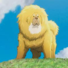 藏獒多吉 - 5AxHKBJLke8PqZ3Wl5zHF5lNGoC.jpg