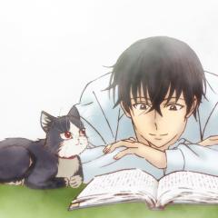 同居人是猫 - a2h1jj2cx61MBguUEPX9CgEPVAG.jpg