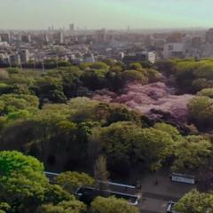 家庭罗曼史有限公司 - 46TmfOQ3fjXrxSyJ1qhVIVj7AdX.jpg