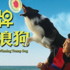 金牌流浪狗 - w6VGEX4I28qFpFxPzOgFwdbhdaP.jpg