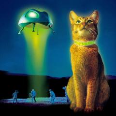 鬼马太空猫 - xnZ9XglbCWjtWkhLd4ZOZYnIX8n.jpg