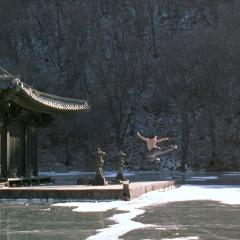 春夏秋冬又一春 - kzPlgdBkyEuCtGqViK8elYtYrpC.jpg