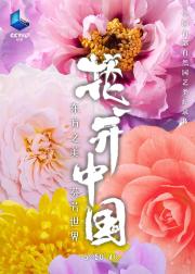 花开中国