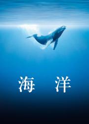 海洋