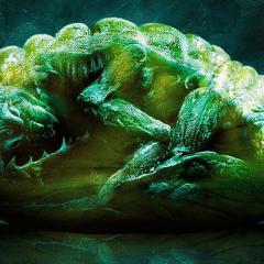变种DNA - cpZ051CrZZDvJfTj5Uz9ATNba6s.jpg