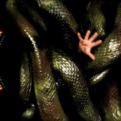 狂蟒之灾2：搜寻血兰 - kP0UruBOUlXPrmciYvG7HmeBRVW.jpg