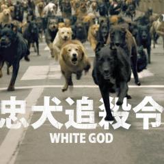 白色上帝 - xabczE39gZ1cFIGVvdwzqzrvhGd.jpg