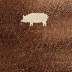 救猪行动 - jWLPj6s8epMgVbPDHDPKeYLnreu.jpg