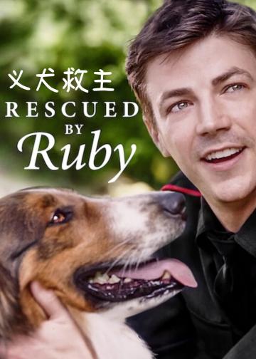 义犬救主