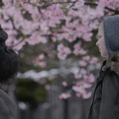 猩球崛起3：终极之战 - dYo3wKk79lQX6WNAczSlt6Y0I9i.jpg