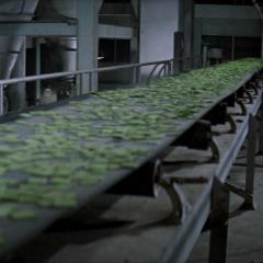 绿色食品 - m8NHyJklrrg4DxvgSQRLdZQQZNZ.jpg