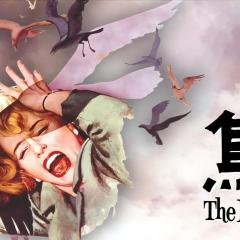 群鸟 - gOUkgAXVSVsEKLfFrD5r1I6OS27.jpg