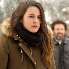 雪中的棕榈树 - ds3gbRFQUHJyfJFsL9BAU9wn6fn.jpg
