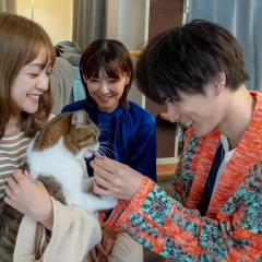 三日月与猫 - yZ0yhDtNrGkqHrawQ188nV4hn4K.jpg