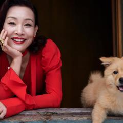 忠犬八公 - 9aW5GMAbaL3bdI0v74uqKoAwwy1.jpg