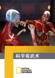科学看武术