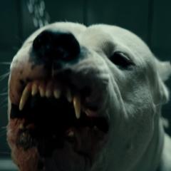 犬舍惊魂 - 1O5FM8QxvlVCpQjh8FtTzmRuUsR.jpg